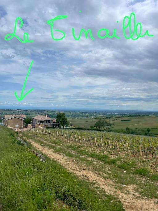 Le Tinailler Grand Standing Au Coeur Des Vignes Villa Prisse ภายนอก รูปภาพ