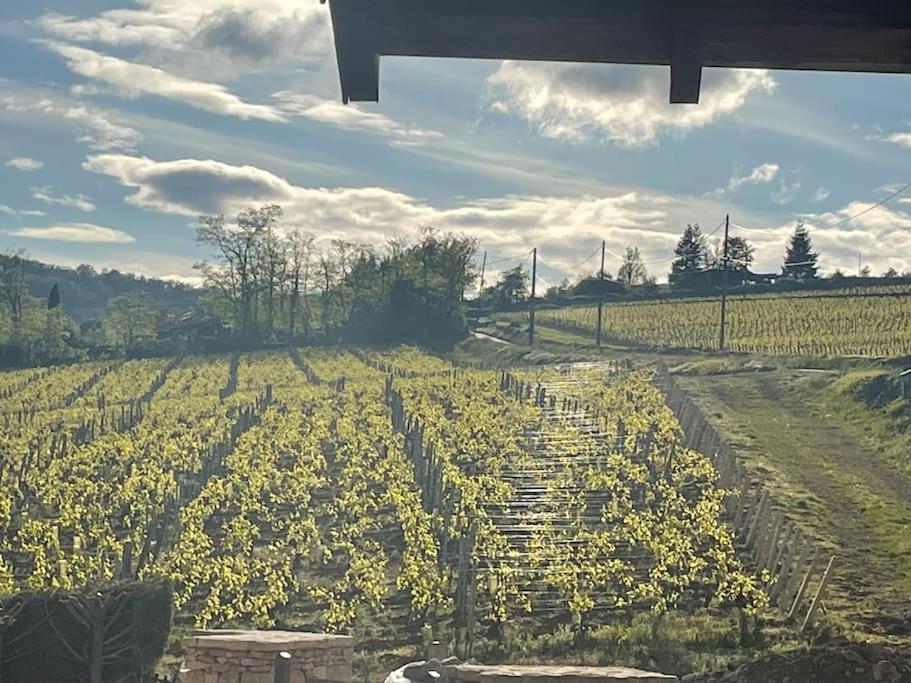Le Tinailler Grand Standing Au Coeur Des Vignes Villa Prisse ภายนอก รูปภาพ