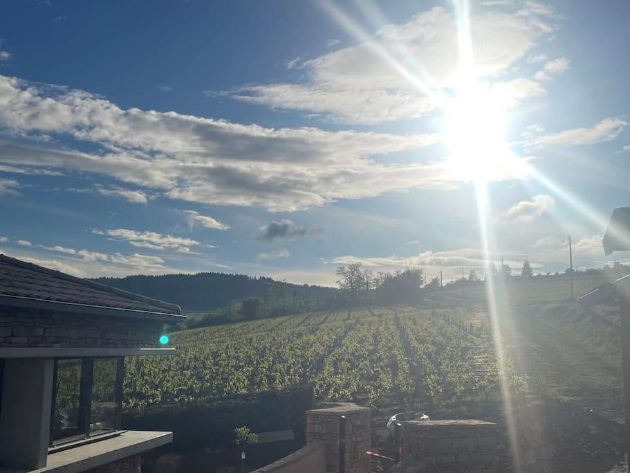 Le Tinailler Grand Standing Au Coeur Des Vignes Villa Prisse ภายนอก รูปภาพ